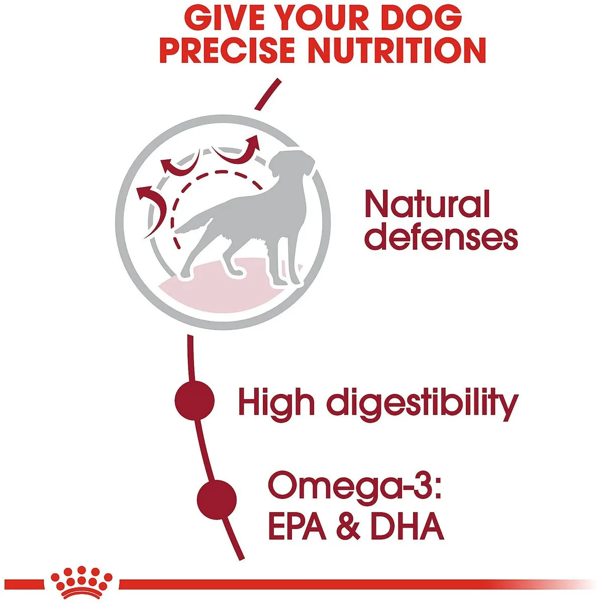 Royal Canin Medium Adult Formula Dry Dog Food