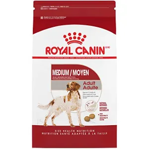 Royal Canin Medium Adult Formula Dry Dog Food