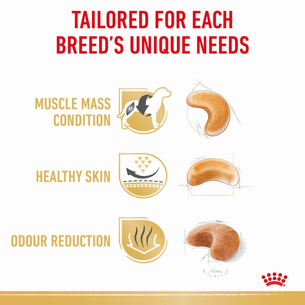 Royal Canin - French Bulldog Breed Adult Dog Dry Food (3kg)
