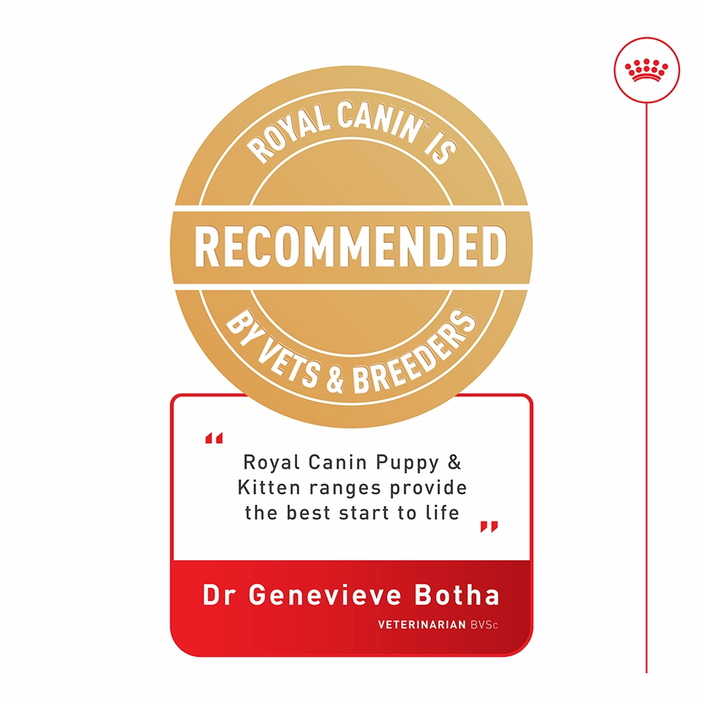 Royal Canin - Kitten in Gravy Cat Wet Food (85g x 12pk)