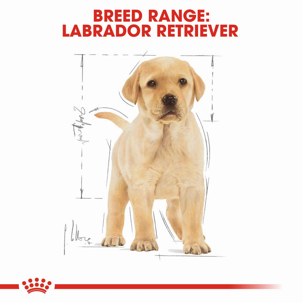 Royal Canin - Labrador Breed Puppy Dog Dry Food (12kg)