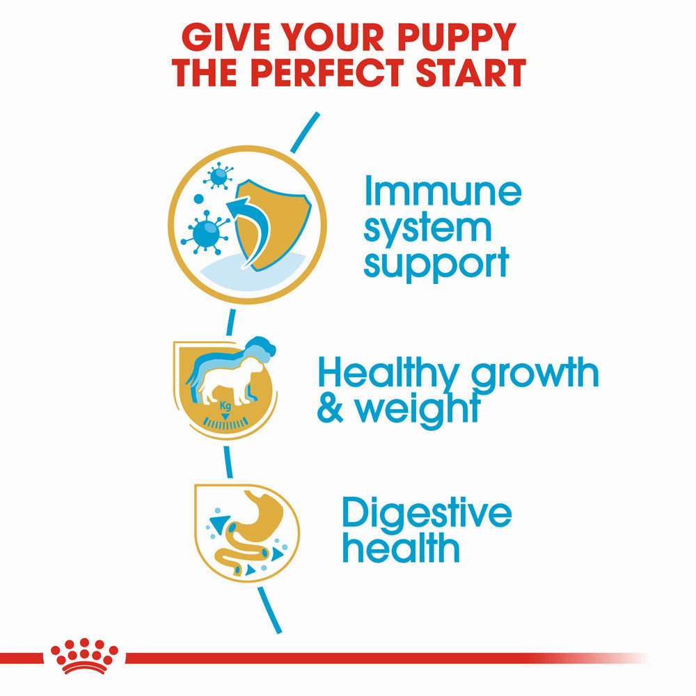 Royal Canin - Labrador Breed Puppy Dog Dry Food (12kg)