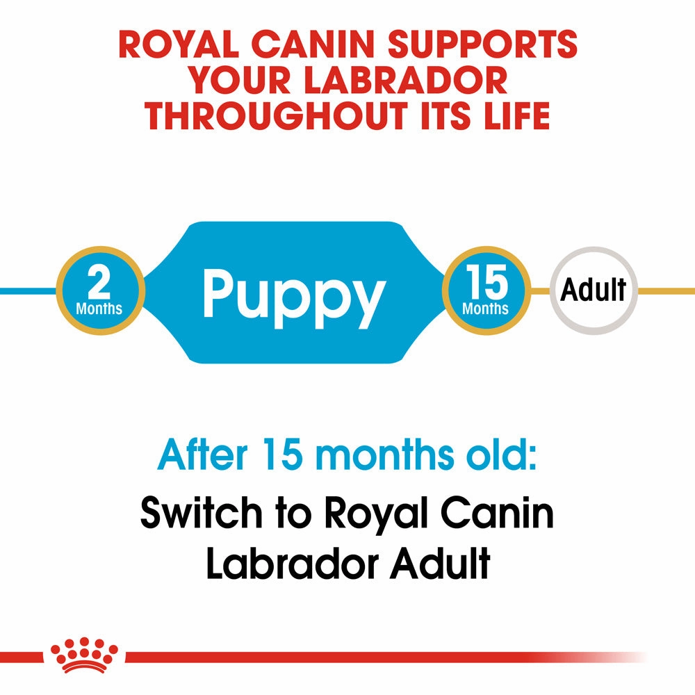 Royal Canin - Labrador Breed Puppy Dog Dry Food (12kg)