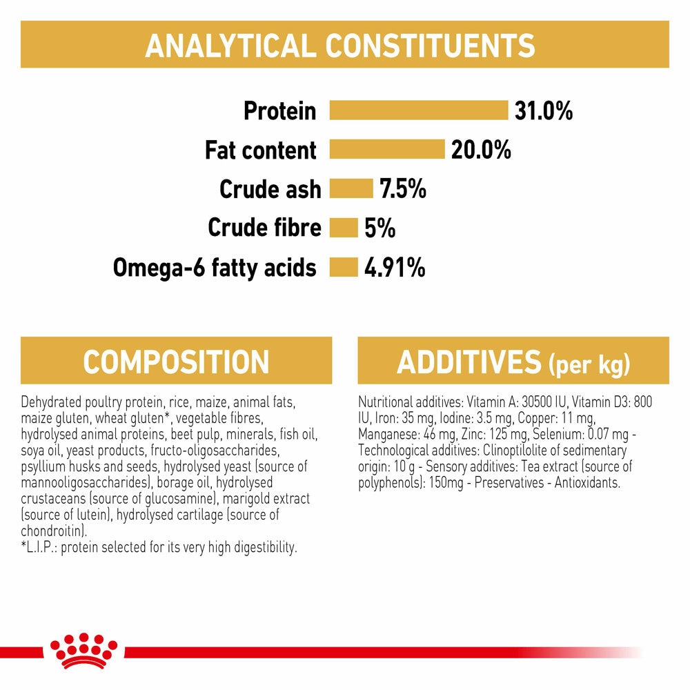 Royal Canin - Maine Coon Breed Adult Cat Dry Food (10kg)