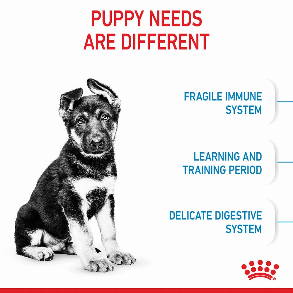 Royal Canin - Maxi Puppy Dog Dry Food (15kg)
