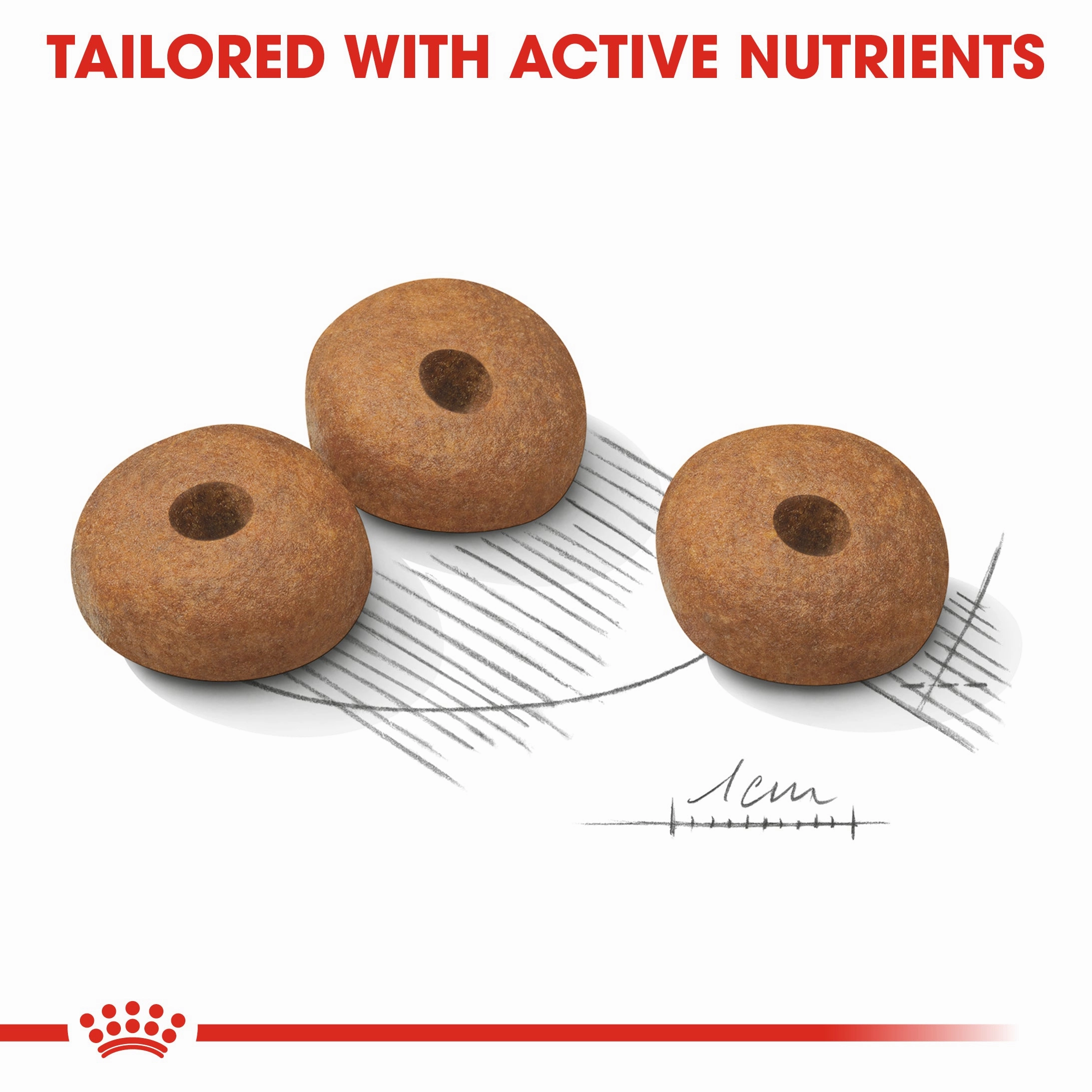 Royal Canin - Medium Adult Light Weight Care Dog Dry Food (3kg)