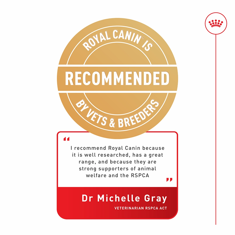 Royal Canin - Mini 12  Ageing Dog Dry Food (1.5kg)