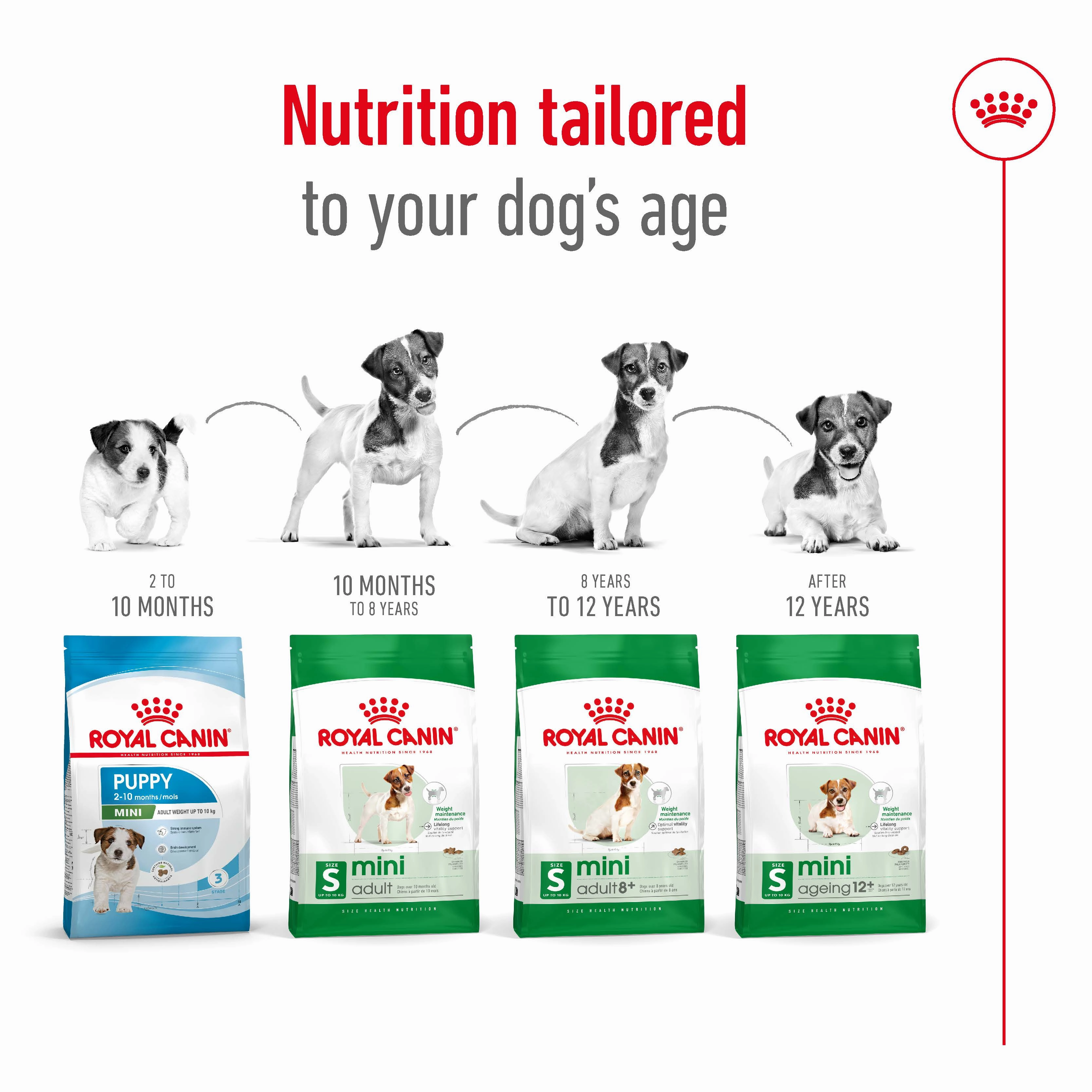 Royal Canin - Mini 12  Ageing Dog Dry Food (1.5kg)