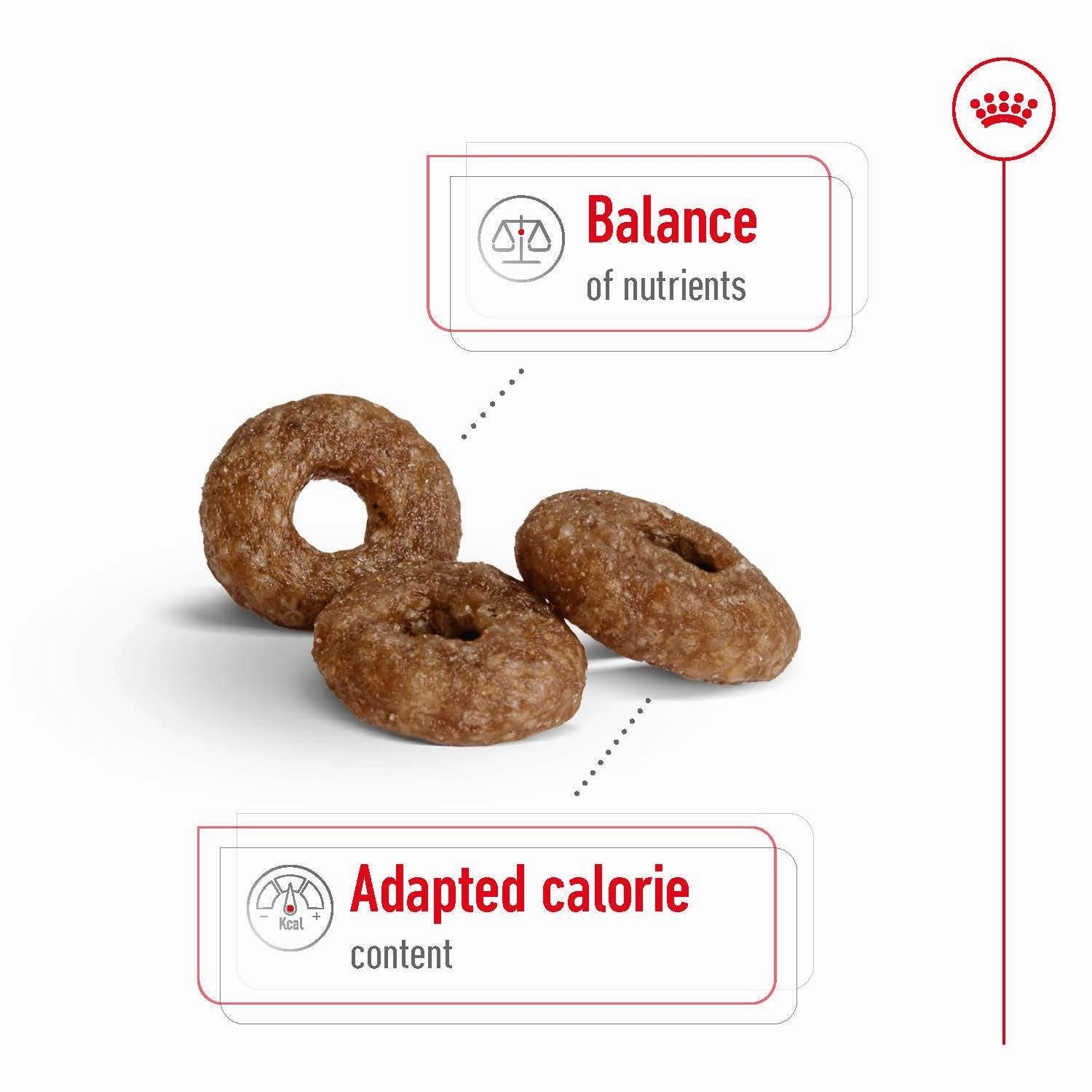 Royal Canin - Mini 12  Ageing Dog Dry Food (1.5kg)
