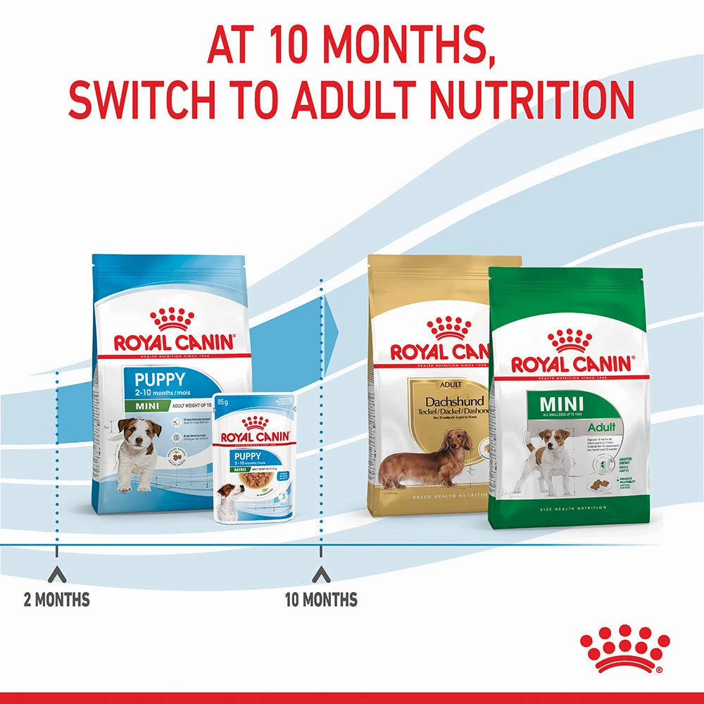 Royal Canin - Mini Puppy Dog Dry Food (2kg)