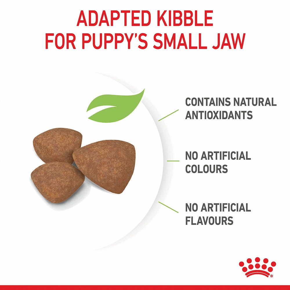 Royal Canin - Mini Puppy Dog Dry Food (2kg)