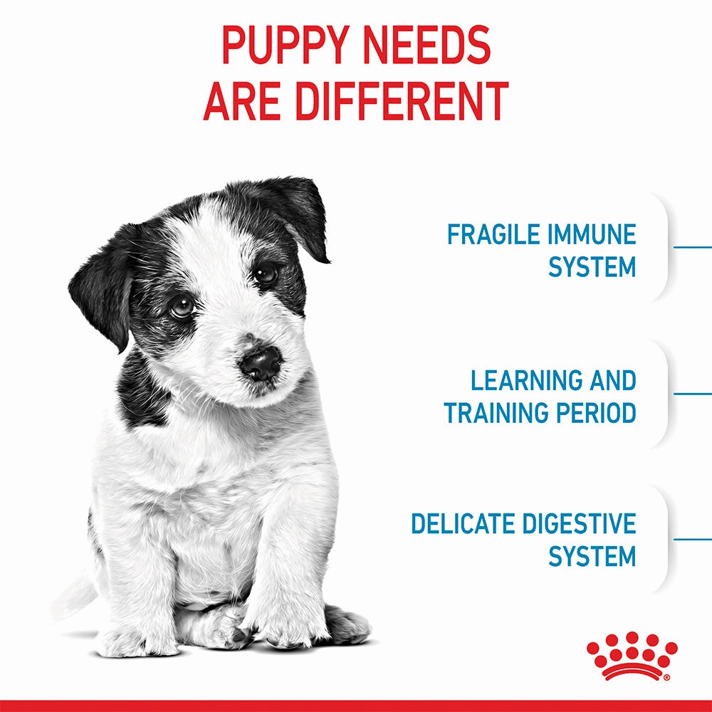 Royal Canin - Mini Puppy Dog Dry Food (2kg)