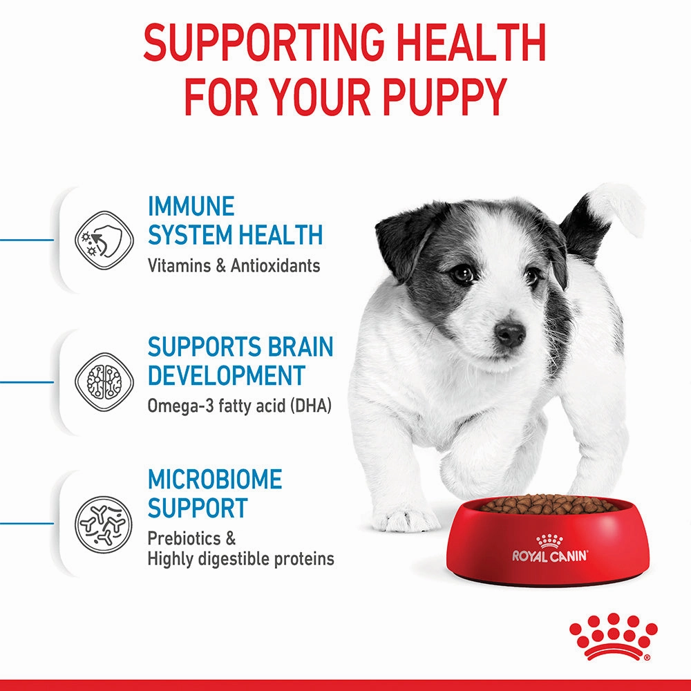 Royal Canin - Mini Puppy Dog Dry Food (2kg)
