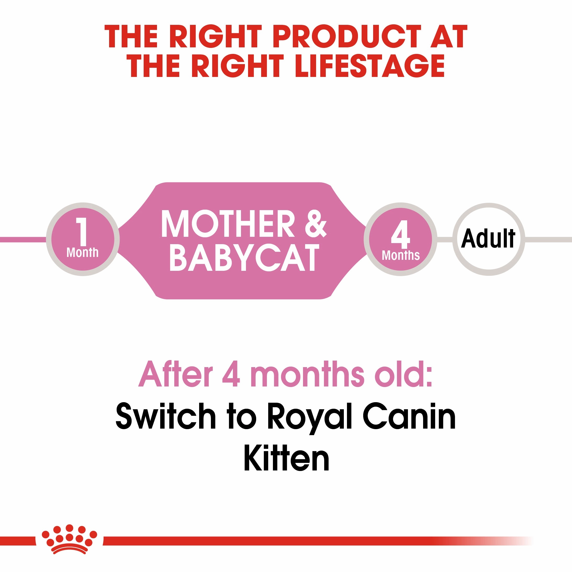 Royal Canin - Mother & Babycat Dry Food (4kg)