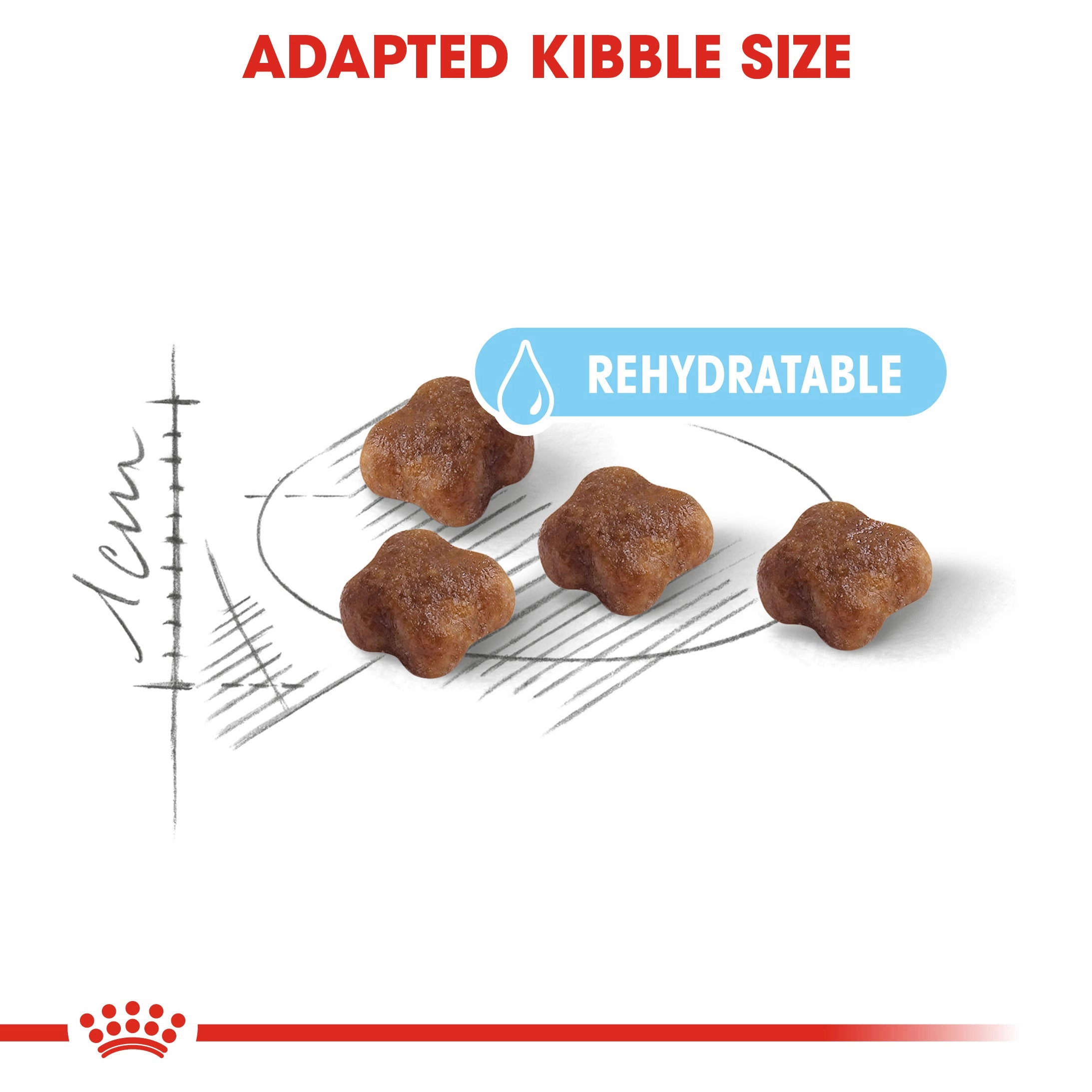 Royal Canin - Mother & Babycat Dry Food (4kg)