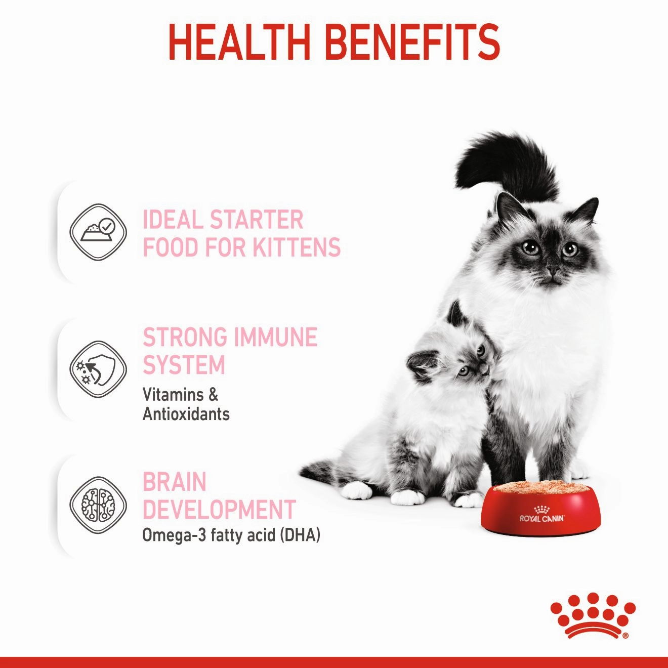 Royal Canin - Mother & Babycat Wet Food (195g x 12pk)