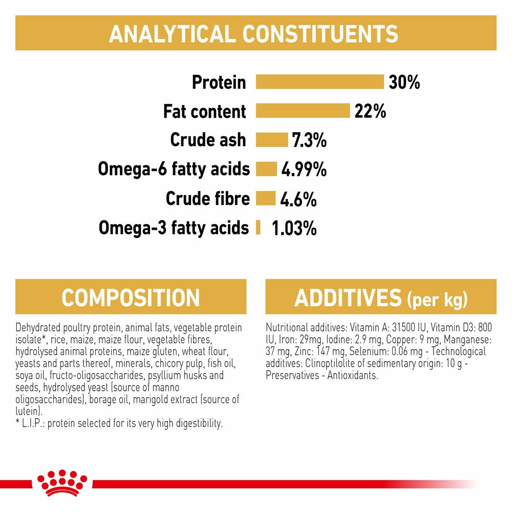 Royal Canin - Persian Breed Adult Cat Dry Food (10kg)