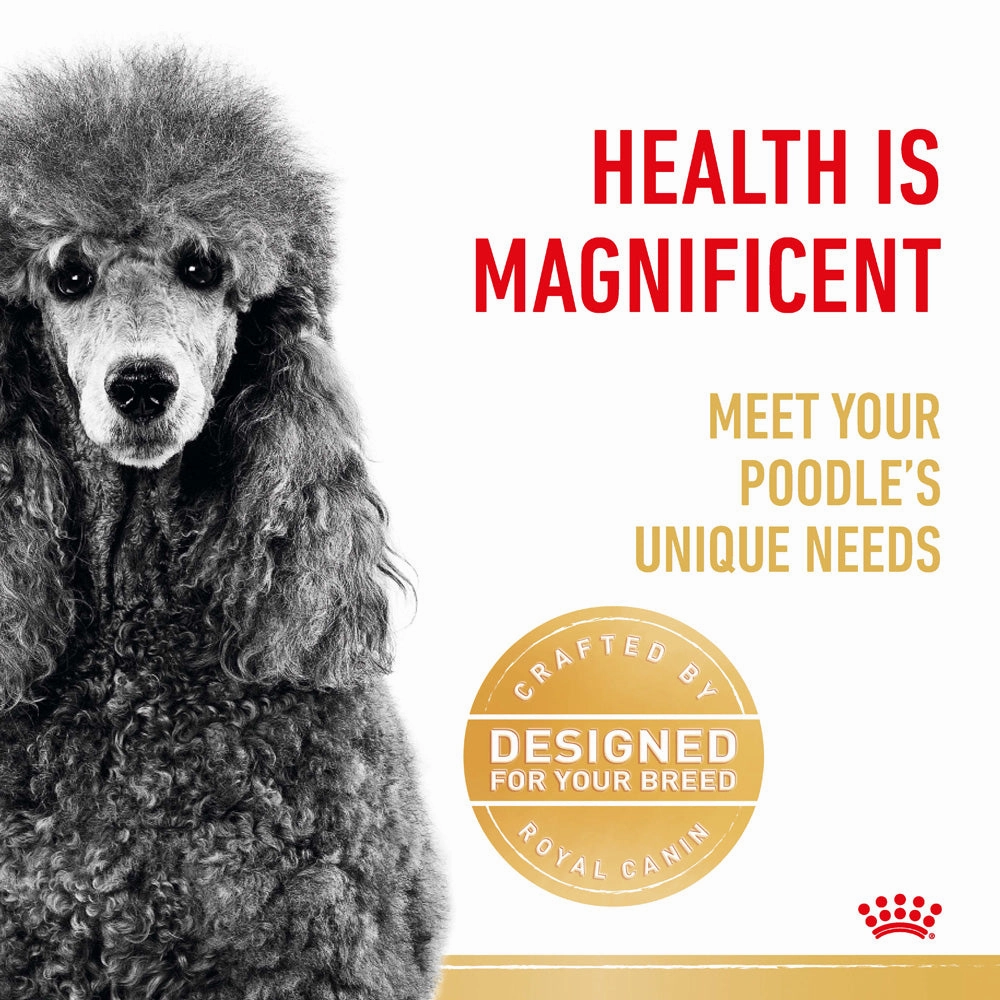 Royal Canin - Poodle Breed Adult Dog Dry Food (1.5kg)