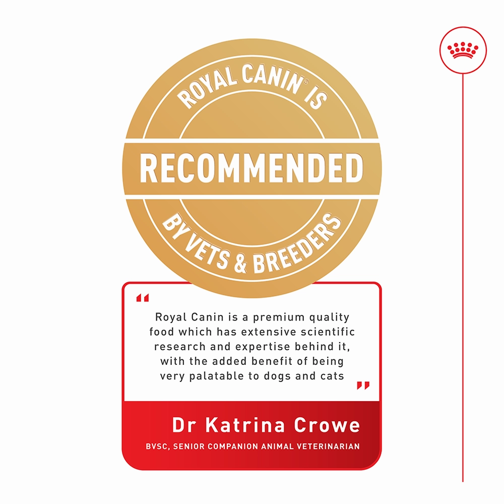 Royal Canin - Poodle Breed Adult Dog Dry Food (1.5kg)
