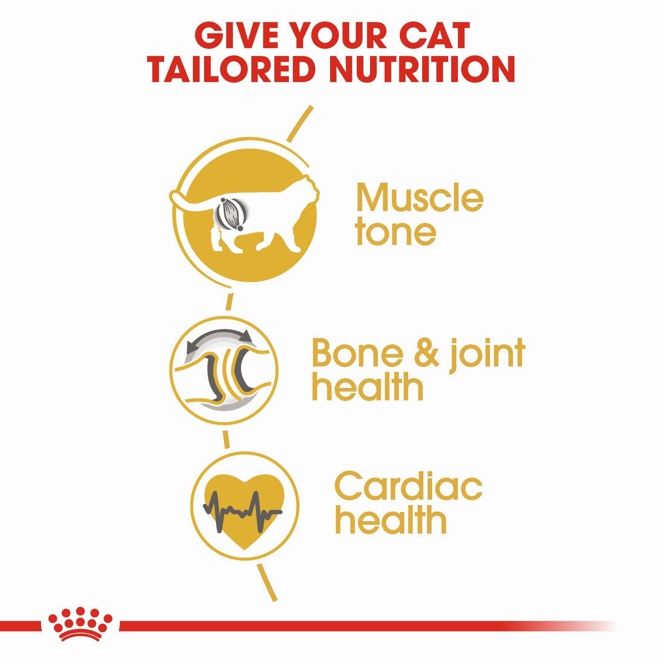Royal Canin - Ragdoll Breed Adult Cat Dry Food (2kg)