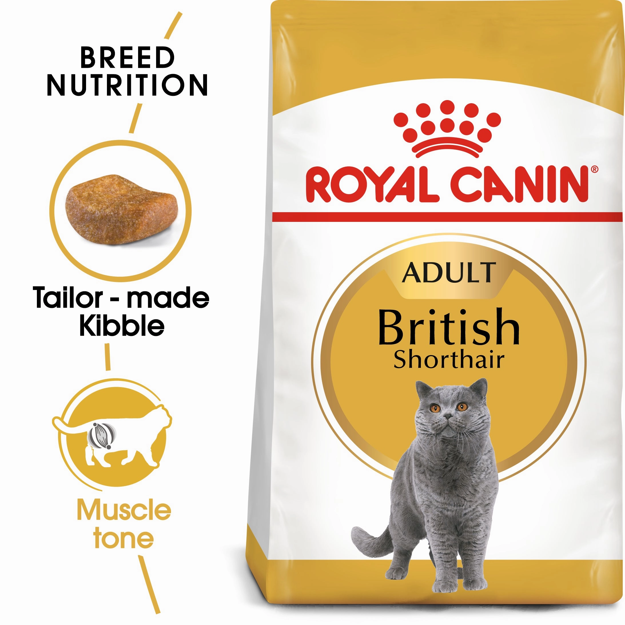Royal Canin - Ragdoll Breed Adult Cat Dry Food (2kg)
