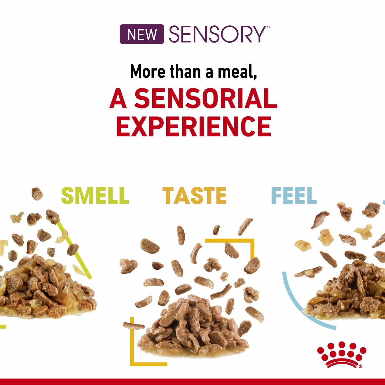 Royal Canin - Sensory Taste Gravy Adult Cat Wet Food (85g x 12pk)