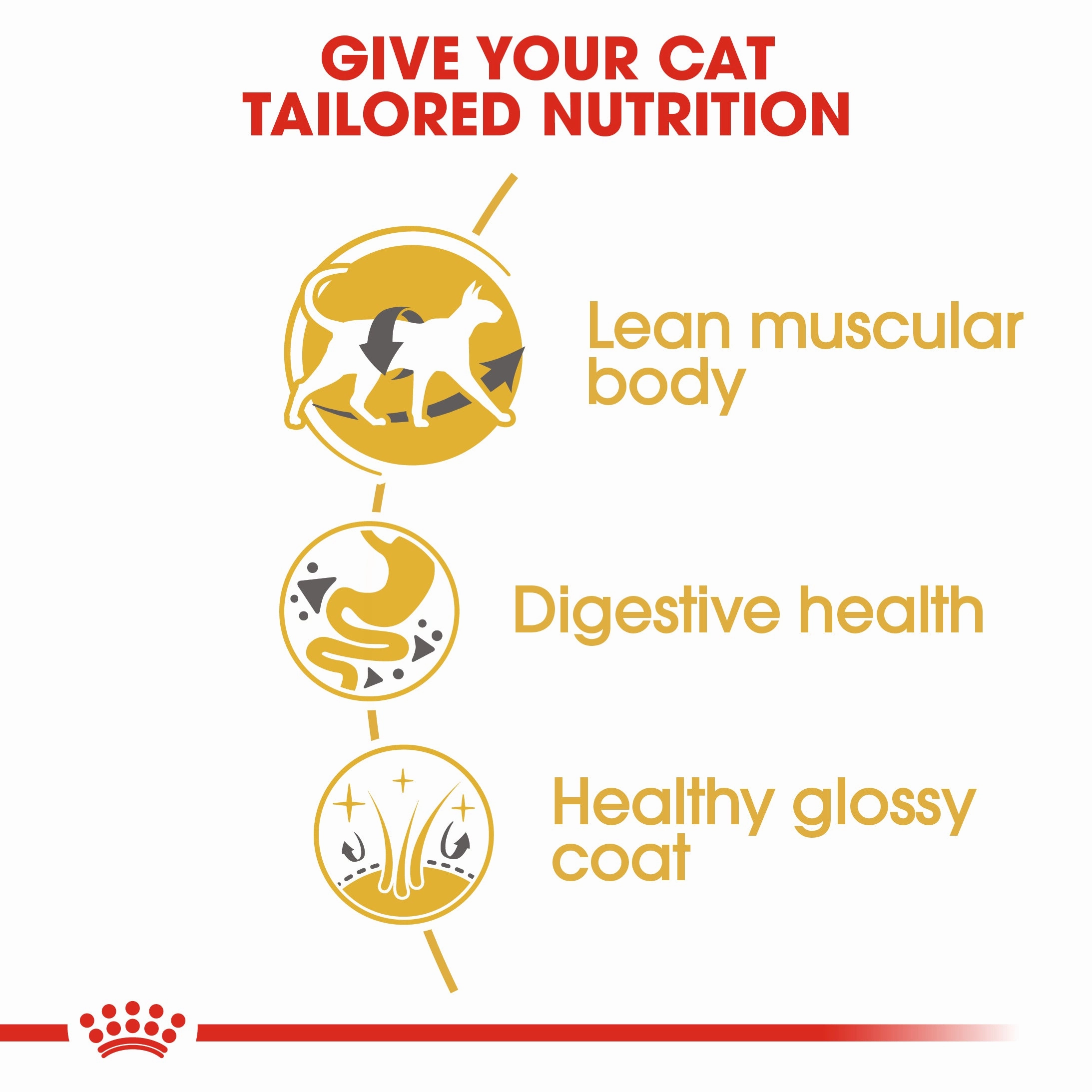 Royal Canin - Siamese Breed Adult Cat Dry Food (4kg)