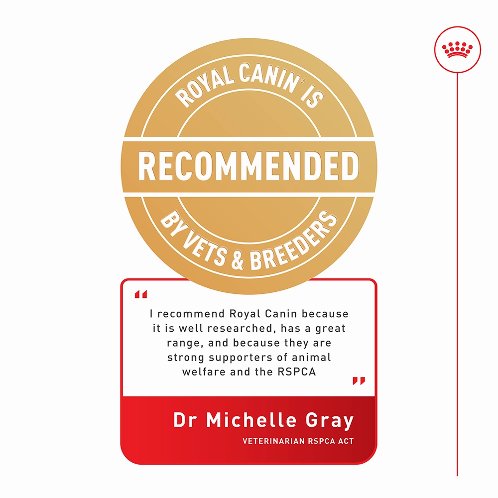 Royal Canin - Urinary Care Gravy Adult Cat Wet Food (85g x 12pk)