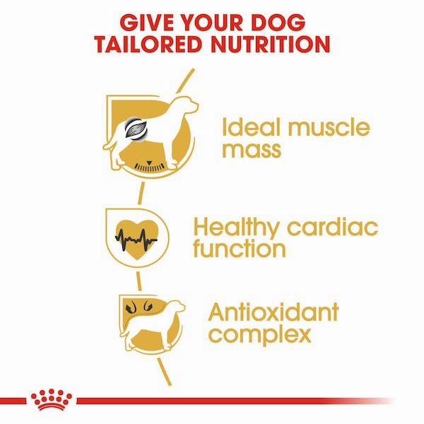 Royal Canin Boxer Adult Dry Dog Food, 30lb