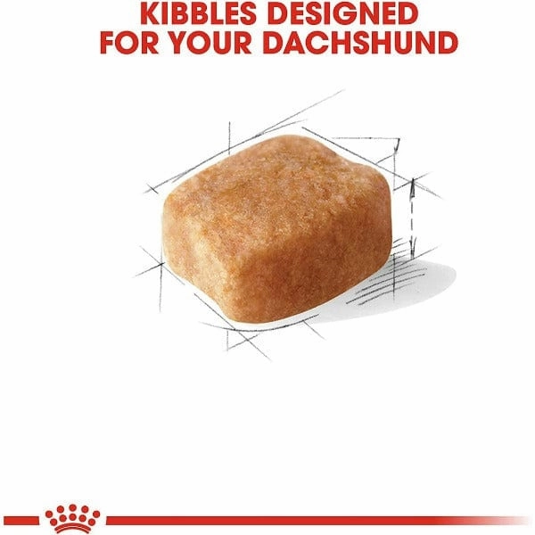 Royal Canin Dachshund Adult Dry Dog Food