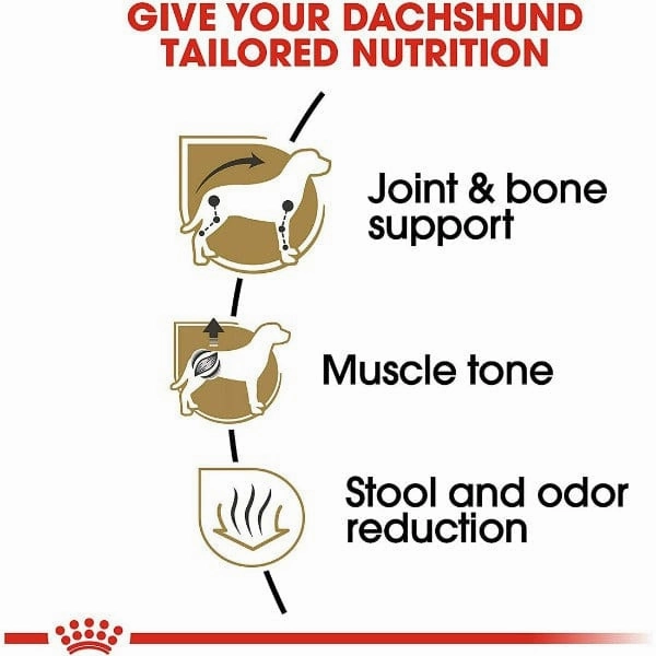 Royal Canin Dachshund Adult Dry Dog Food