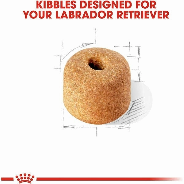 Royal Canin Labrador Retriever Adult Dry Dog Food, 30lb