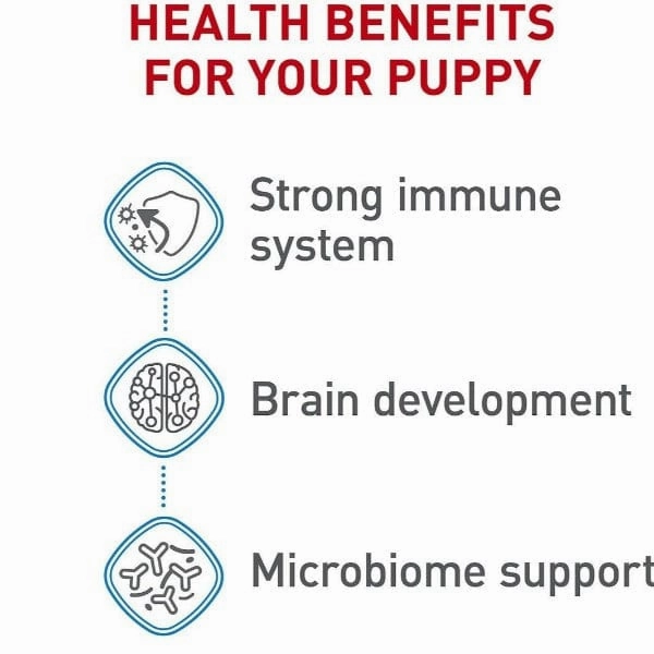 Royal Canin Medium Puppy Dry Dog Food