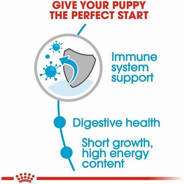 Royal Canin Medium Puppy Dry Dog Food