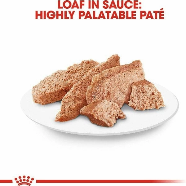 Royal Canin Poodle Loaf In Sauce Canned Dog Food, 85g