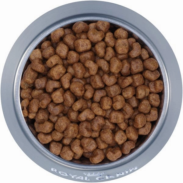 Royal Canin Shih Tzu Adult Dry Dog Food