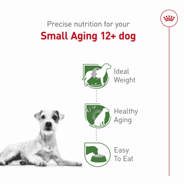 Royal Canin Small Aging 12  Dry Dog Food, 2.5lb