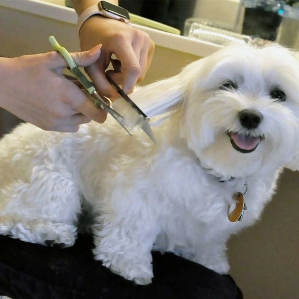 Safari Dog Grooming Combs for Medium and Fine Coats
