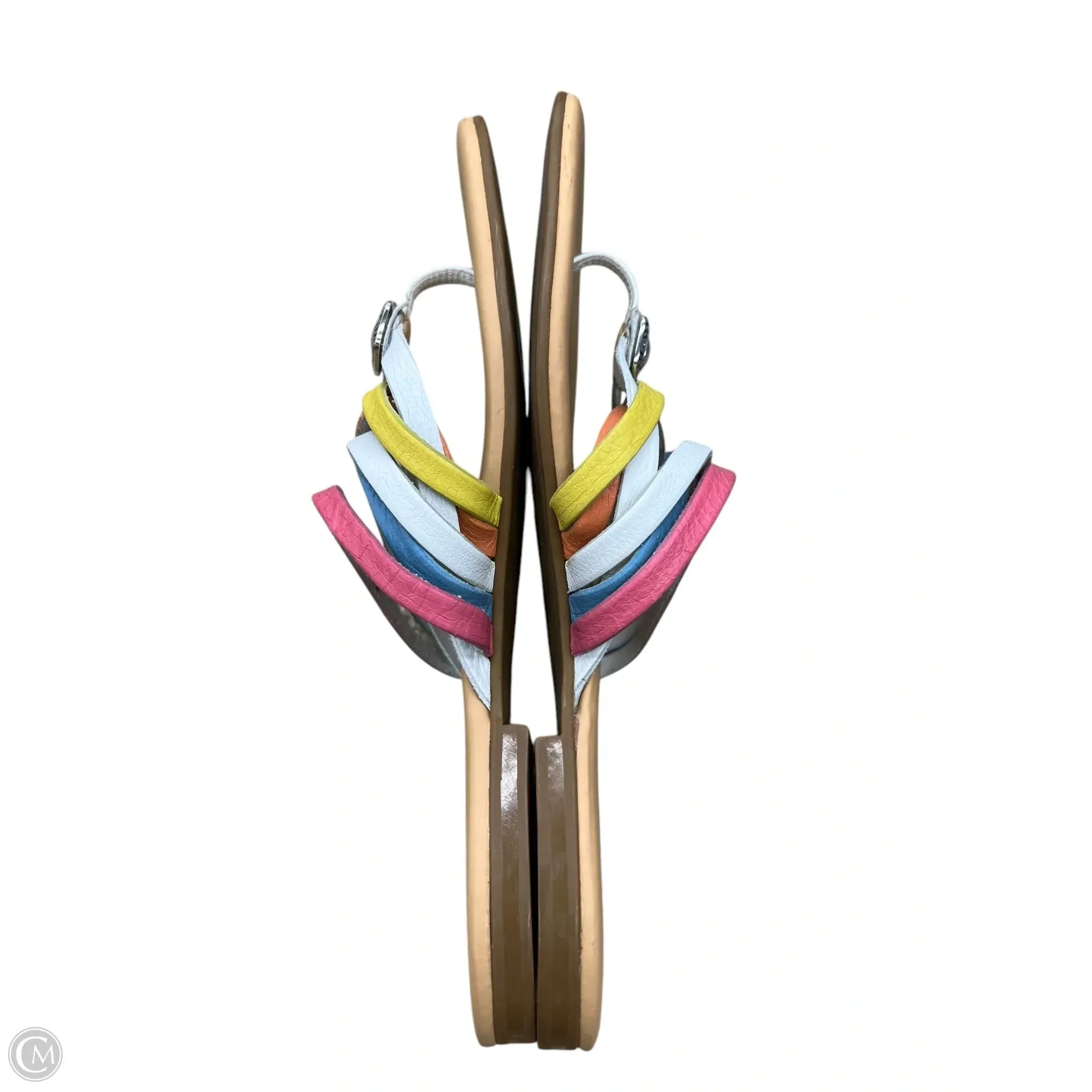 Sandals Flip Flops By Brighton In Multi-colored, Size: 9