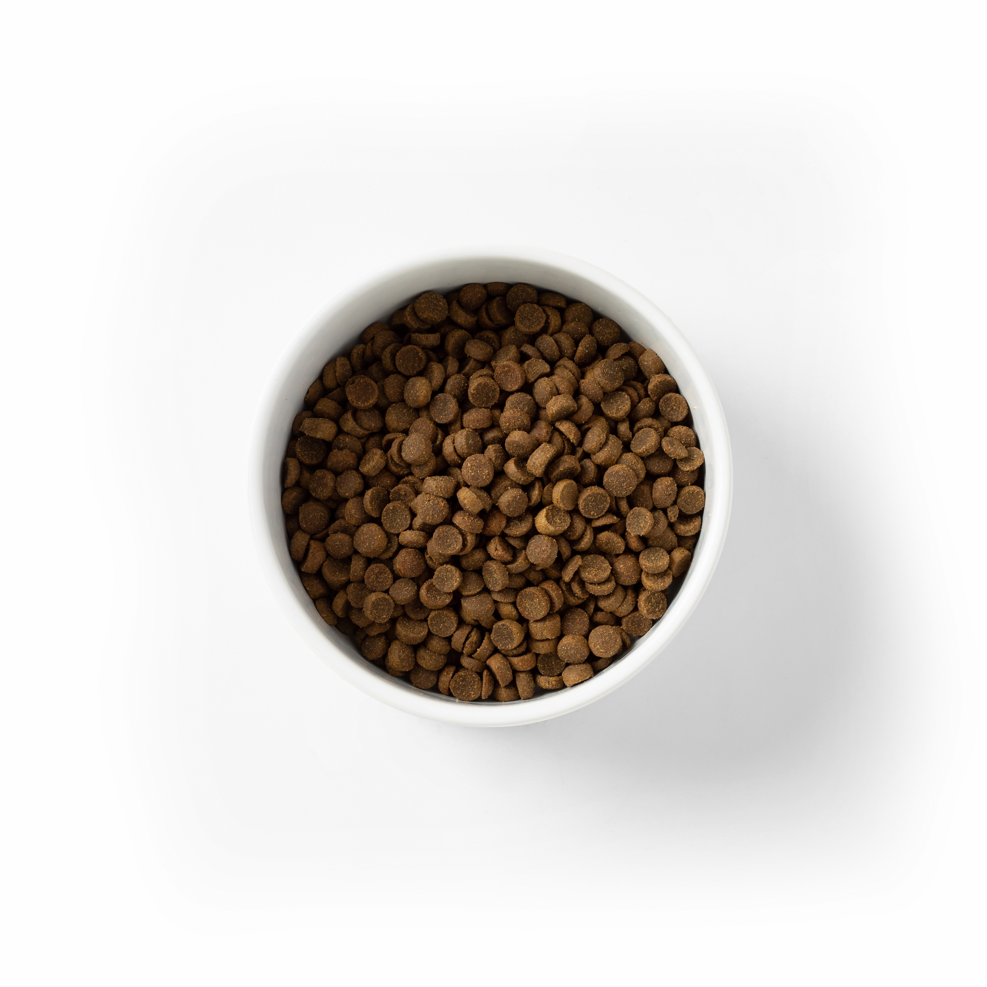 SavourLife - Essentials Chicken Puppy Dry Food (15kg)