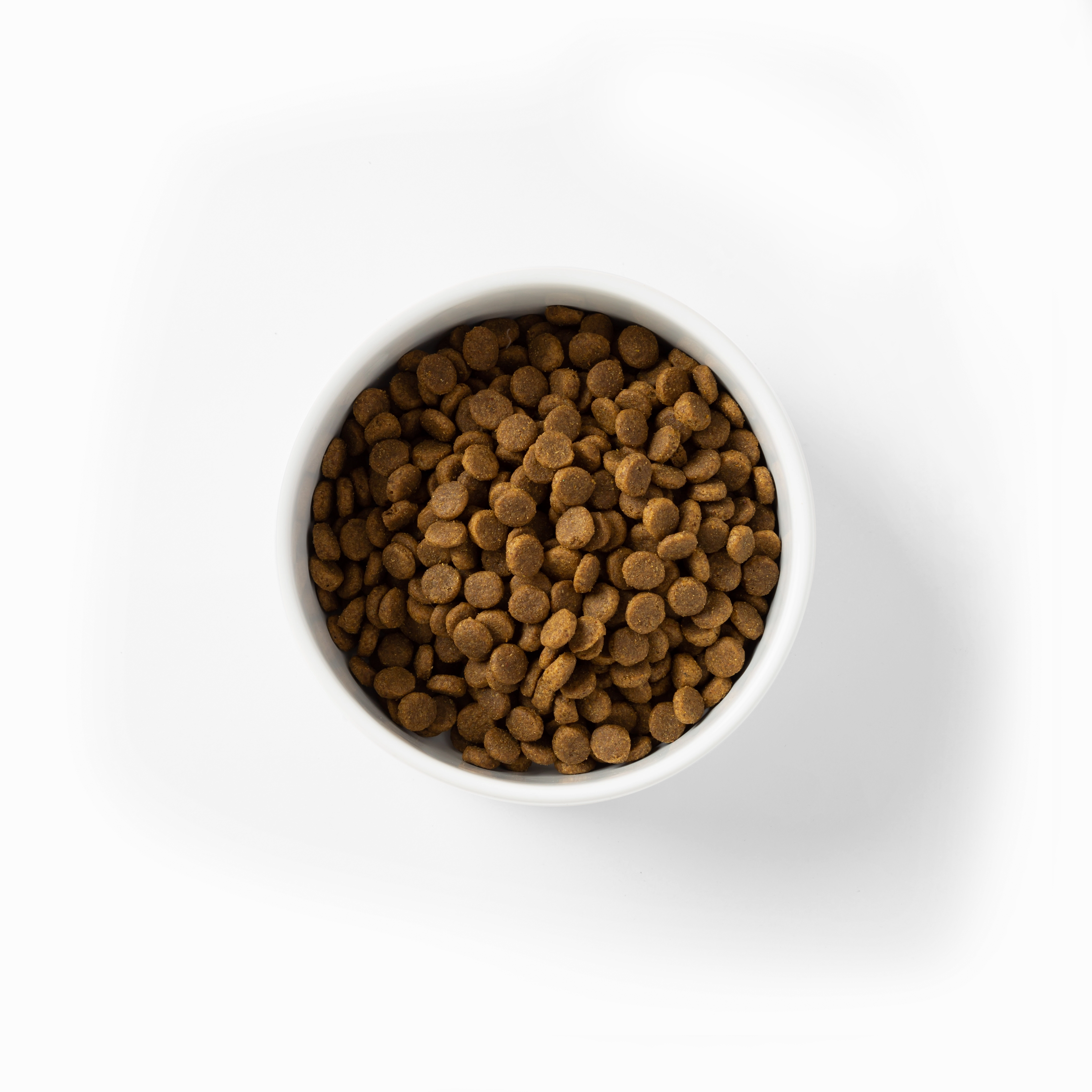 SavourLife - Grain Free Chicken Puppy Dry Food (10kg)