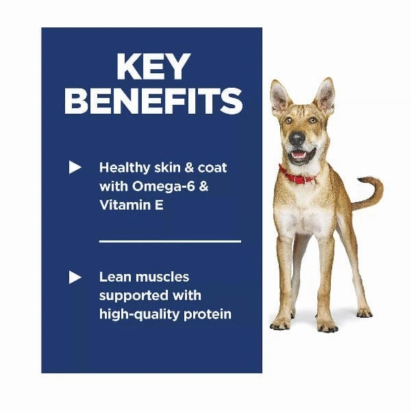 Science Diet Adult Lamb Meal & Brown Rice Recipe Dry Dog Food