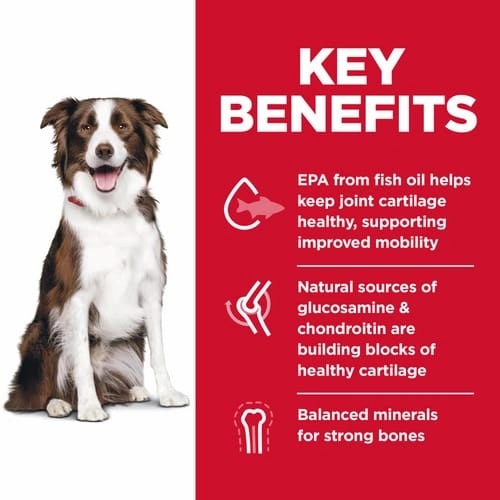 Science Diet Adult Large Breed Healthy Mobility Chicken Recipe Dry Dog Food, 30lb