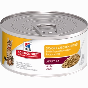 Science Diet Adult Savory Chicken Entree Wet Cat Food