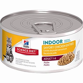 Science Diet Indoor Cat Savory Chicken Entree Wet Cat Food