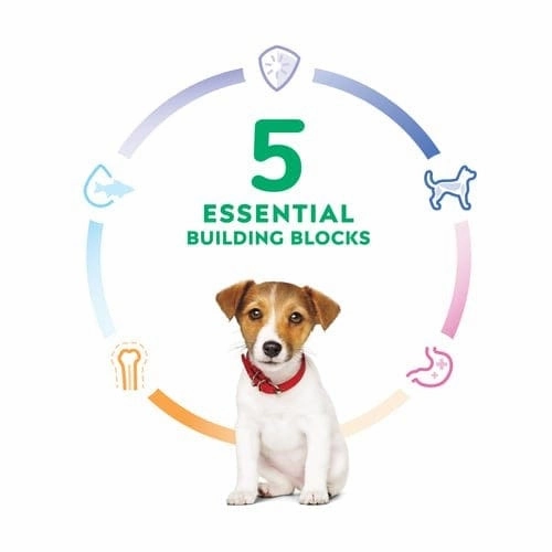 Science Diet Puppy Small Bites Chicken & Brown Rice Recipe Dry Dog Food