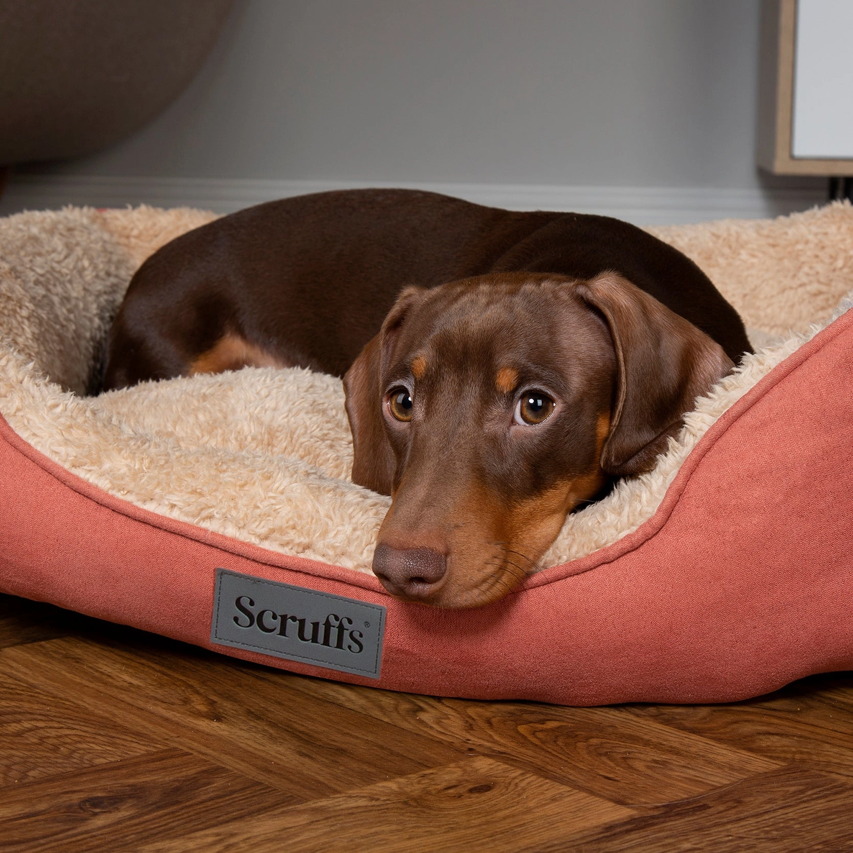 Scruffs - Cosy Box Bed Terracotta (60 x 50cm)