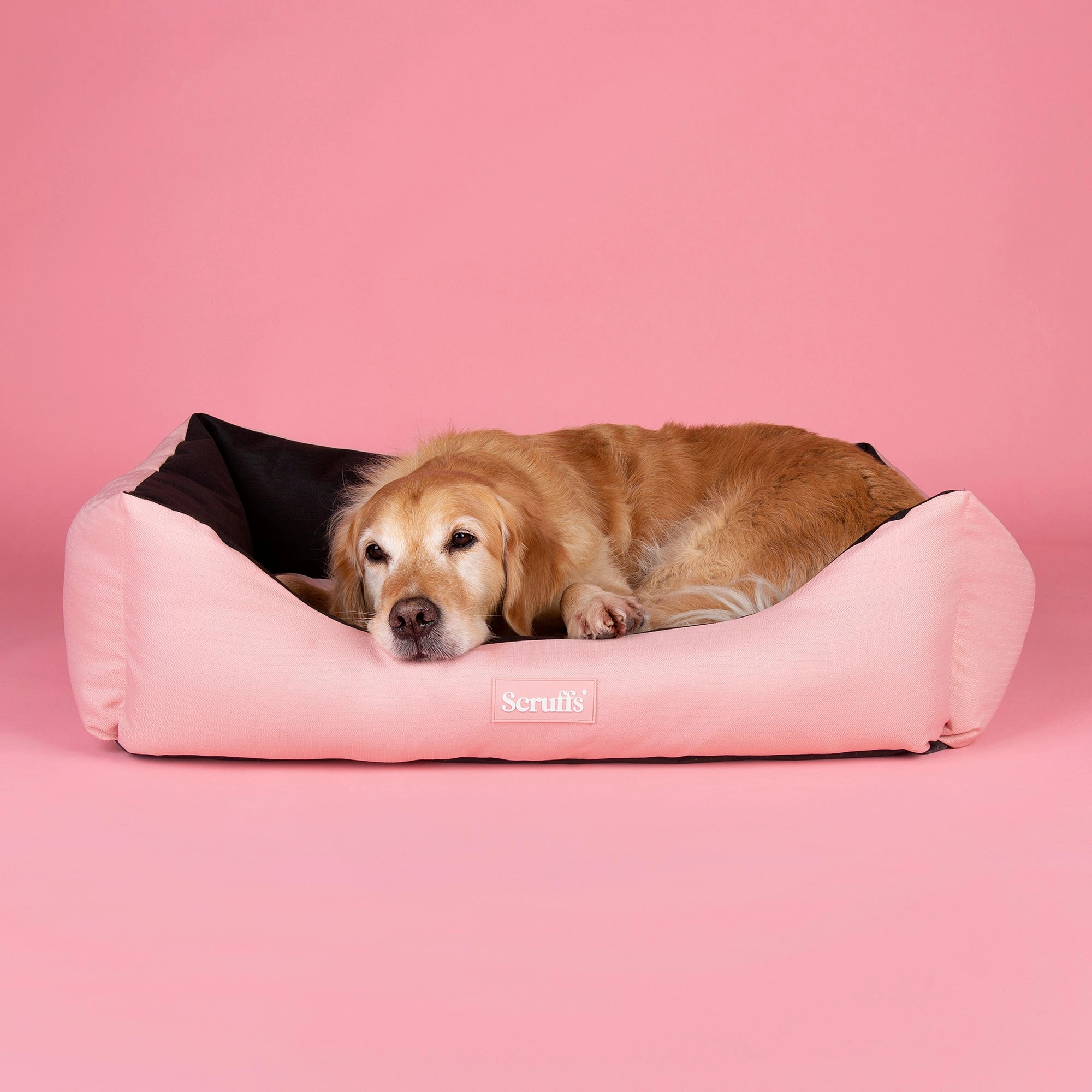 Scruffs - Expedition Box Bed Rose Quartz (90 x 70cm)