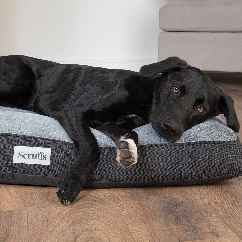 Scruffs - Harvard Orthopaedic Mattress Graphite Grey (100 x 70cm)