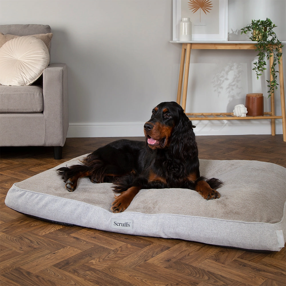 Scruffs - Harvard Orthopaedic Mattress Pearl Grey (120 x 75cm)